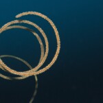 corail fouet