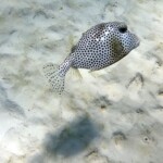 DCIM100GOPROGOPR0616.JPG