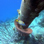 DCIM100GOPROGOPR0632.JPG