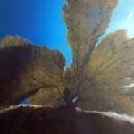 DCIM100GOPROGOPR0666.JPG