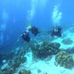 DCIM100GOPROGOPR0780.JPG