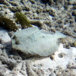 DCIM100GOPROGOPR0943.JPG