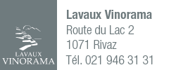 Lavaux vinorama